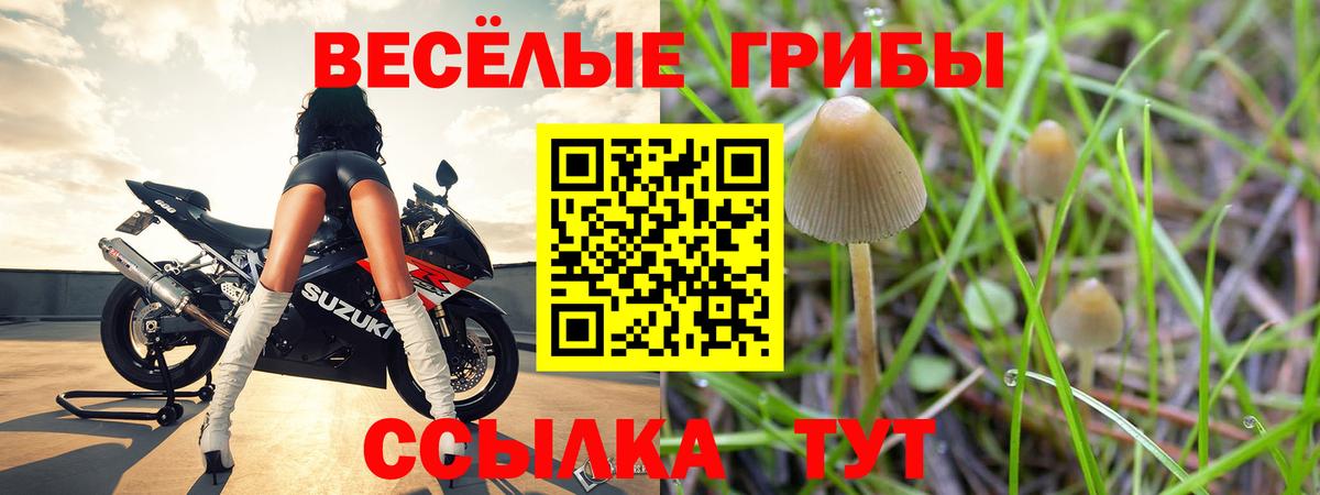 Галлюциногенные грибы ЛСД  Вход с VPN  Александров 